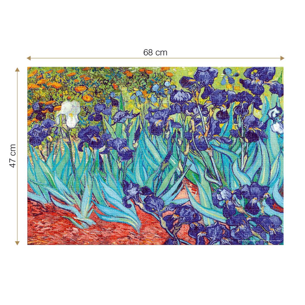 Iris Van Gogh Puzzle 1000 Pz 1.jpg