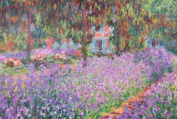Iris Nel Giardino Di Monet