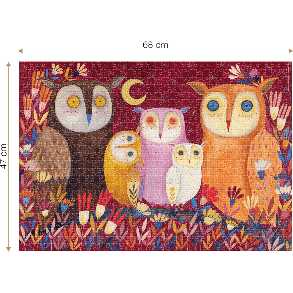 Puzzle Gufi Colorati