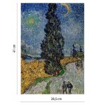 Puzzle Sentiero Di Notte In Provenza Van Gogh 3