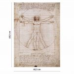 Puzzle Uomo Vitruviano Schema Delle Proporzioni 3