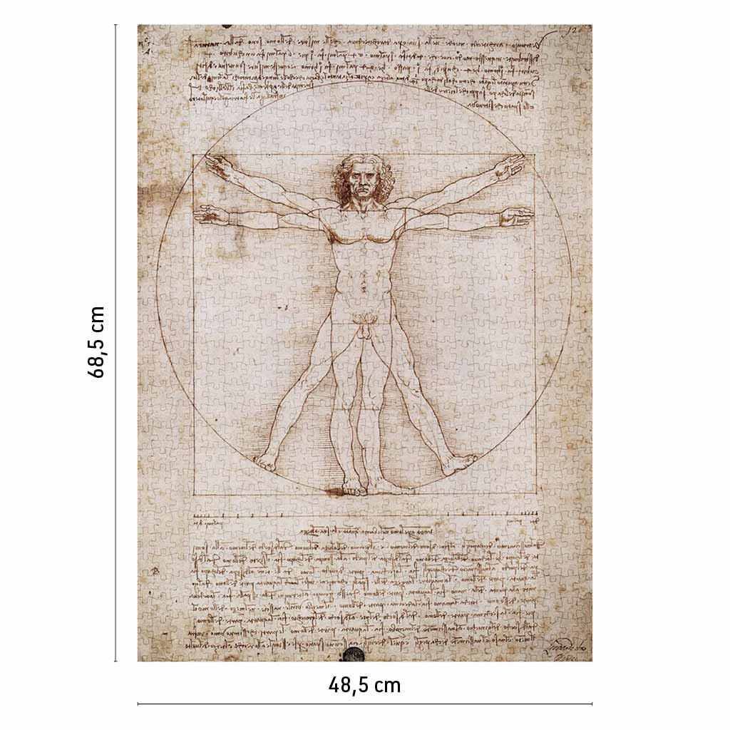 Puzzle Uomo Vitruviano Schema Delle Proporzioni 3