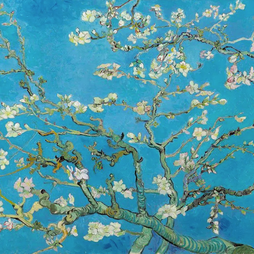 Ramo Di Mandorlo In Fiore Van Gogh